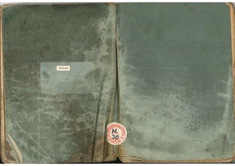 Open original Digital object