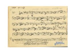 Acemkürdi Saz Eseri