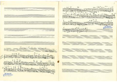 Open original Dijital obje