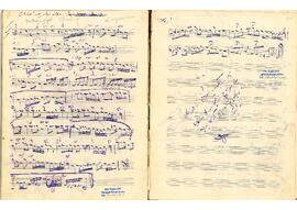 Sultaniyegah Şarkı