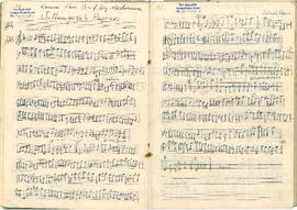 Sultaniyegah Saz Eseri