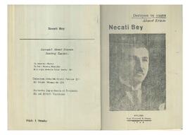 Ahmet Ertem'in Necati Bey isimli kitabı