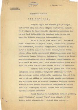 Türkistan Türkleri