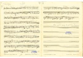 Sultaniyegah Şarkı