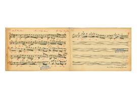 Suzinak Ağır Semai